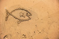 Fish drawn in the sand