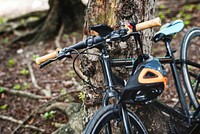 Closeup of bicycle leaning on a tree