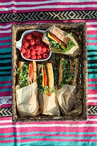 Vegan sandwiches for lunch at the beach