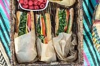 Vegan sandwiches for lunch at the beach