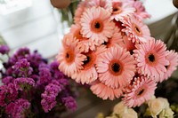 Closeup of pink gerber daisy bouquet and purple statice