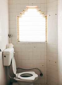 Vintage toilet interior in India