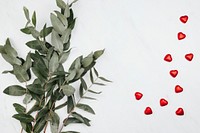 Eucalyptus and red chocolates on a white marble background