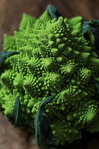 Fresh healthy organic romanesco broccoli
