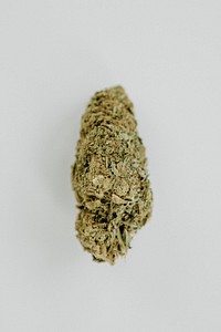 Weed isolated on a blank background