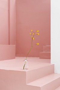 Yellow flower in a glass vase at a pink stair