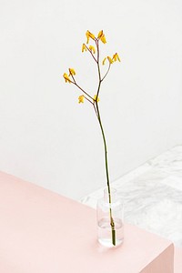 Yellow flower in a glass vase at a pink stair