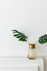 A leaves in a glass vase by the wall