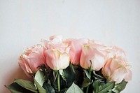 Bouquet of light pink roses background