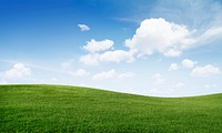 Green grass with a blue sky wallpaper