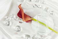 Blank perfume glass bottle with a lily flower on a white plate