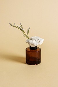 Dry flower in a brown vase on beige background