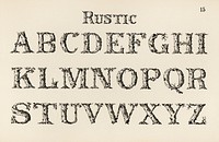 Rustic calligraphy fonts from Draughtsman&#39;s Alphabets by <a href="https://www.rawpixel.com/search/Hermann%20Esser?">Hermann Esser</a> (1845&ndash;1908). Digitally enhanced from our own 5th edition of the publication. 