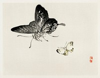 Butterflies by <a href="https://www.rawpixel.com/search/K%C5%8Dno%20Bairei?sort=curated&amp;page=1">Kōno Bairei</a> (1844-1895). Digitally enhanced from our own original 1913 edition of Bairei Gakan. 