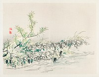 Bulrush by Kōno Bairei (1844-1895). Digitally enhanced from our own original 1913 edition of Bairei Gakan. 