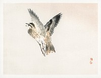 Sparrow by <a href="https://www.rawpixel.com/search/K%C5%8Dno%20Bairei?sort=curated&amp;page=1">Kōno Bairei</a> (1844-1895). Digitally enhanced from our own original 1913 edition of Bairei Gakan. 