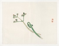 Blossom by <a href="https://www.rawpixel.com/search/K%C5%8Dno%20Bairei?sort=curated&amp;page=1">Kōno Bairei</a> (1844-1895). Digitally enhanced from our own original 1913 edition of Bairei Gakan. 