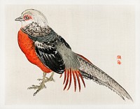 Japanese pheasant by <a href="https://www.rawpixel.com/search/K%C5%8Dno%20Bairei?sort=curated&amp;page=1">Kōno Bairei</a> (1844-1895). Digitally enhanced from our own original 1913 edition of Bairei Gakan. 