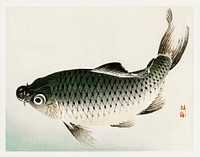 Carp by <a href="https://www.rawpixel.com/search/K%C5%8Dno%20Bairei?sort=curated&amp;page=1">Kōno Bairei</a> (1844-1895). Digitally enhanced from our own original 1913 edition of Bairei Gakan. 