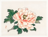Pink rose by <a href="https://www.rawpixel.com/search/K%C5%8Dno%20Bairei?sort=curated&amp;page=1">Kōno Bairei</a> (1844-1895). Digitally enhanced from our own original 1913 edition of Bairei Gakan.