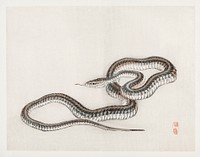 Snake by <a href="https://www.rawpixel.com/search/K%C5%8Dno%20Bairei?sort=curated&amp;page=1">Kōno Bairei</a> (1844-1895). Digitally enhanced from our own original 1913 edition of Barei Gakan. 