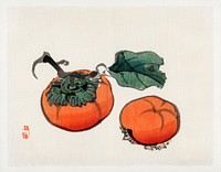 Persimmons by <a href="https://www.rawpixel.com/search/K%C5%8Dno%20Bairei?sort=curated&amp;page=1">Kōno Bairei</a> (1844-1895). Digitally enhanced from our own original 1913 edition of Bairei Gakan. 