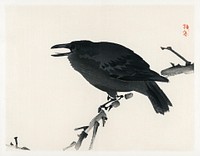 Crow by <a href="https://www.rawpixel.com/search/K%C5%8Dno%20Bairei?sort=curated&amp;page=1">Kōno Bairei</a> (1844-1895). Digitally enhanced from our own original 1913 edition of Barei Gakan. 