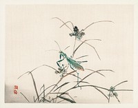 Grasshopper by <a href="https://www.rawpixel.com/search/K%C5%8Dno%20Bairei?sort=curated&amp;page=1">Kōno Bairei</a> (1844-1895). Digitally enhanced from our own original 1913 edition of Barei Gakan. 