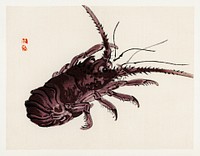 Crayfish by <a href="https://www.rawpixel.com/search/K%C5%8Dno%20Bairei?sort=curated&amp;page=1">Kōno Bairei</a> (1844-1895). Digitally enhanced from our own original 1913 edition of Barei Gakan. 