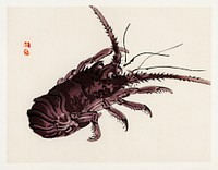 Crayfish by Kōno Bairei (1844-1895). Digitally enhanced from our own original 1913 edition of Barei Gakan. 