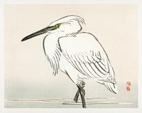 Snowy egret by <a href="https://www.rawpixel.com/search/K%C5%8Dno%20Bairei?sort=curated&amp;page=1">Kōno Bairei</a> (1844-1895). Digitally enhanced from our own original 1913 edition of Barei Gakan. 
