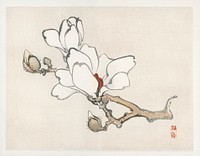 Magnolia by <a href="https://www.rawpixel.com/search/K%C5%8Dno%20Bairei?sort=curated&amp;page=1">Kōno Bairei</a> (1844-1895). Digitally enhanced from our own original 1913 edition of Barei Gakan. 