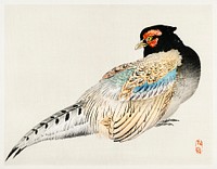 Peregrine falcon by <a href="https://www.rawpixel.com/search/K%C5%8Dno%20Bairei?sort=curated&amp;page=1">Kōno Bairei</a> (1844-1895). Digitally enhanced from our own original 1913 edition of Barei Gakan. 
