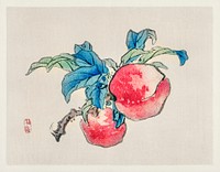 Peaches by <a href="https://www.rawpixel.com/search/K%C5%8Dno%20Bairei?sort=curated&amp;page=1">Kōno Bairei</a> (1844-1895). Digitally enhanced from our own original 1913 edition of Barei Gakan. 