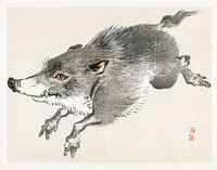 Wild boar by <a href="https://www.rawpixel.com/search/K%C5%8Dno%20Bairei?sort=curated&amp;page=1">Kōno Bairei</a> (1844-1895). Digitally enhanced from our own original 1913 edition of Barei Gakan.