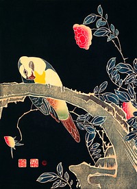Parrot on the Branch of a Flowering Rose Bush (ca. 1900) illustration by <a href="https://www.rawpixel.com/search/Ito%20Jakuchu?sort=curated&amp;page=1">Ito Jakuchu</a>. Original from The MET Museum. Digitally enhanced by rawpixel.