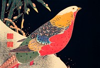 Golden Pheasant in the Snow (ca. 1900) illustration by <a href="https://www.rawpixel.com/search/Ito%20Jakuchu?sort=curated&amp;page=1">Ito Jakuchu</a>. Original from The MET Museum. Digitally enhanced by rawpixel.