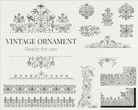 Vintage flourish ornament illustration