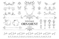 Vintage flourish ornament illustration