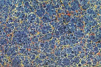 Blue granite pattern background. Remixed by rawpixel.
