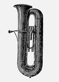 Vintage European style trumpet engraving vector