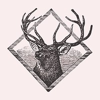 Vintage European style deer head framed vector
