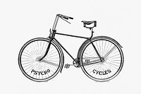 Psycho cycles bicycle from Where to Buy at Paignton.