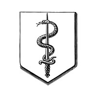 Snake medieval heraldic design vector