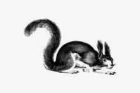 Abert&#39;s squirrel from Report of an Expedition Down the Zuni and Colorado Rivers (1853) published by <a href="https://www.rawpixel.com/search/Lorenzo%20Sitgreaves?sort=curated&amp;page=1">Lorenzo Sitgreaves</a>. Original from the British Library. Digitally enhanced by rawpixel.
