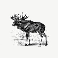 Scandinavian elk from &#39;A Summer in Norway ... Also, an Account of the Red-Deer, Reindeer and Elk (1875) published by <a href="https://www.rawpixel.com/search/john%20dean%20caton?sort=curated&amp;page=1">John Dean Caton</a>. Original from the British Library. Digitally enhanced by rawpixel.