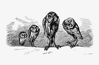 Owls from Griset&#39;s Grotesques (1867) published by <a href="https://www.rawpixel.com/search/Tom%20Hood?sort=curated&amp;page=1">Tom Hood</a>. Original from the British Library. Digitally enhanced by rawpixel.