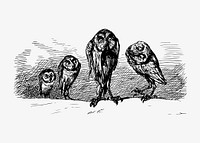Flock of owls illustration vector
