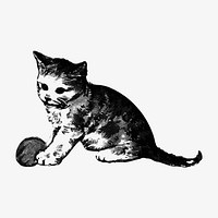 Playful kitten illustration vector
