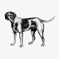 Pet dog illustration vector